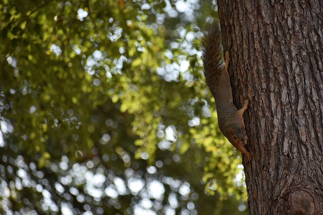 界球迷的目 界球迷的目