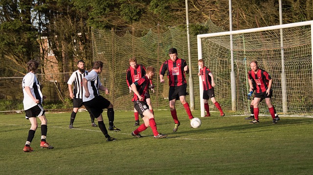 工智能项目 工智能项目