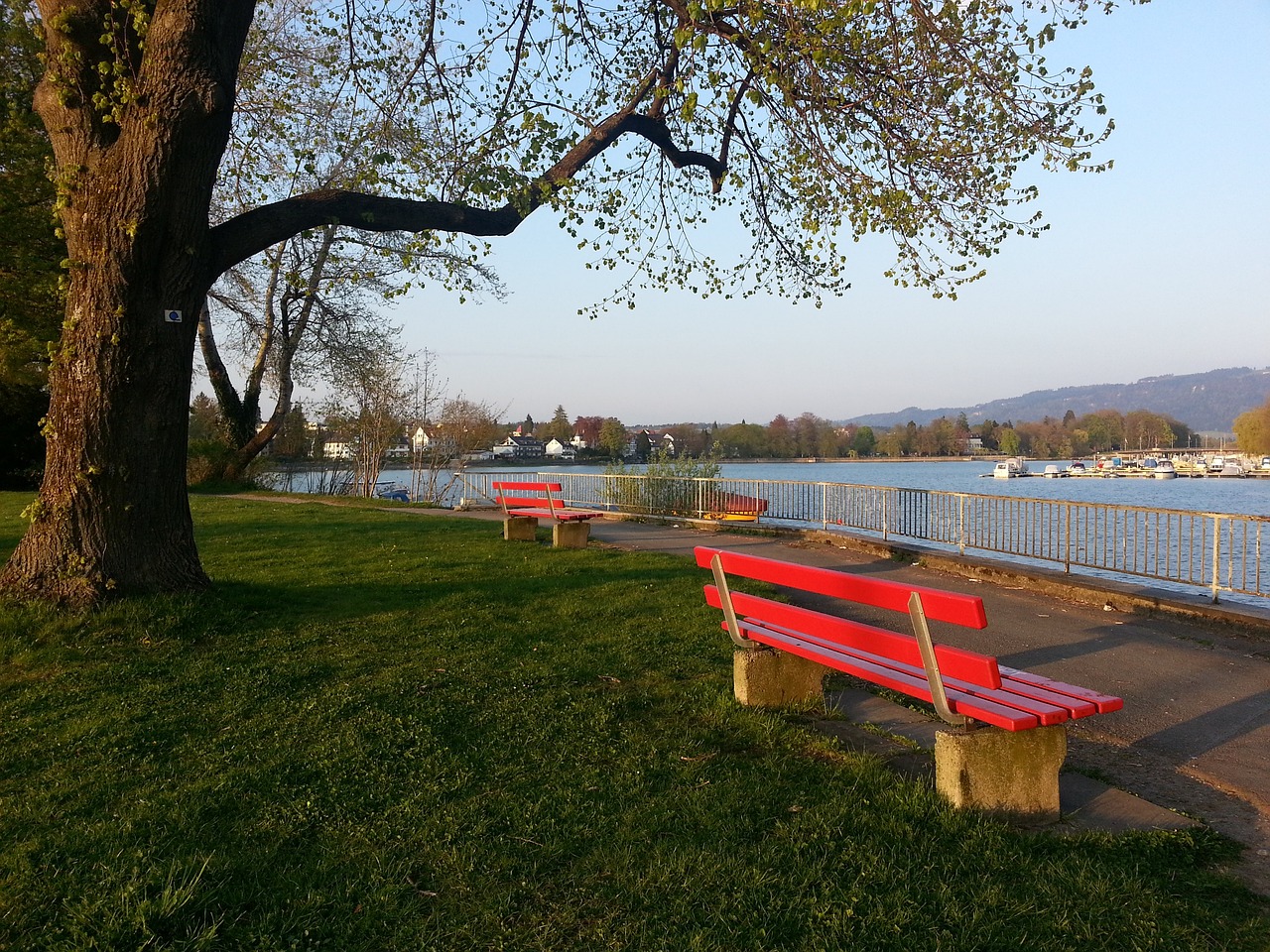 应的强化 应的强化