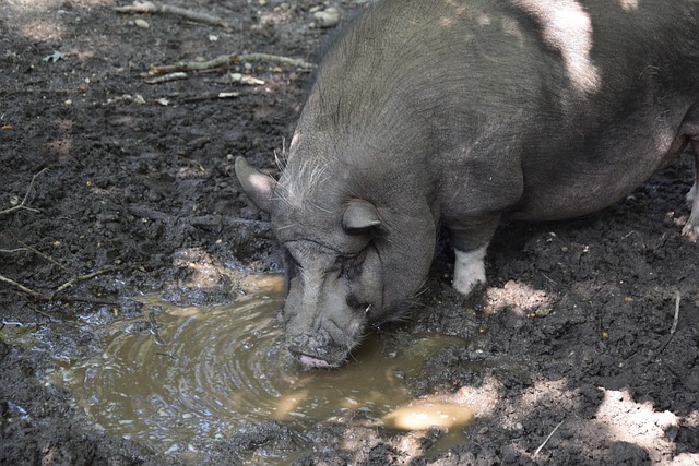 求持续增加 求持续增加