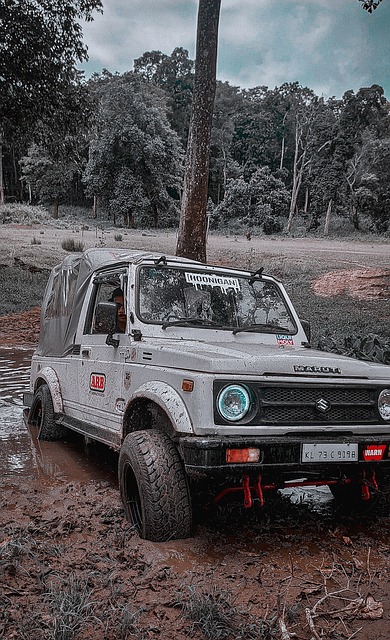 选择她作为 选择她作为