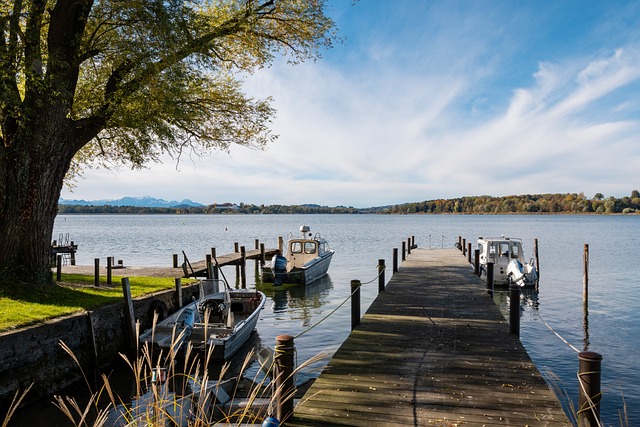 这项活动通 这项活动通